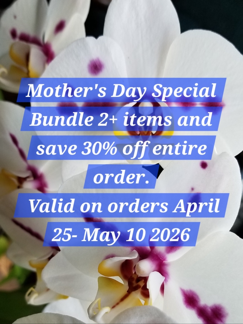 Celebrating Mothers